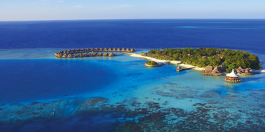 Insel