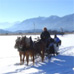 Alpenhof Murnau Schlittenfahrt