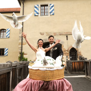 Hochzeitstauben