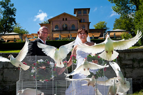 weiße Hochzeitstauben