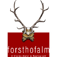 Almhotel Forsthofalm