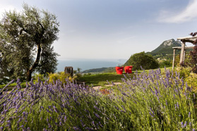 Lefay Resort & Spa - Energetic & Therapeutic Garden